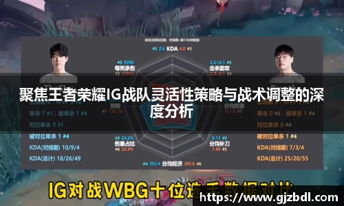 聚焦王者荣耀IG战队灵活性策略与战术调整的深度分析